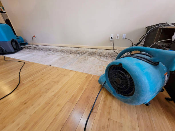 Professional Water Damage Repair technician working in Walsh, IL